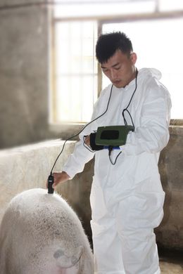 УЗД апарат для свинарства MSU1 PLUS Kaixin