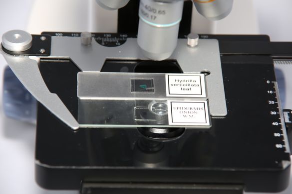 Микроскоп биологический MICROmed FS-7630